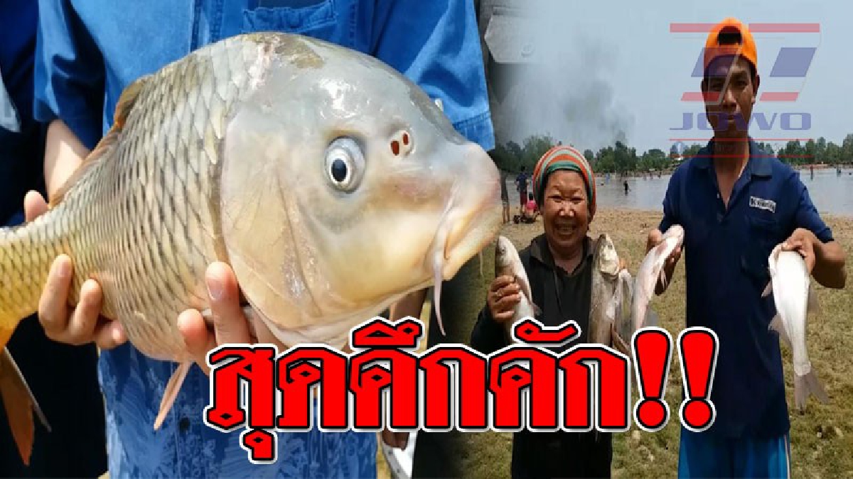 งานนี้ยิ้มไม่หุบ ! พรานปลากว่า 3,000 แห่ล่าปลาในหนองน้ำคึกคักเงินสะพัดนับแสนบาท (ชมคลิป)