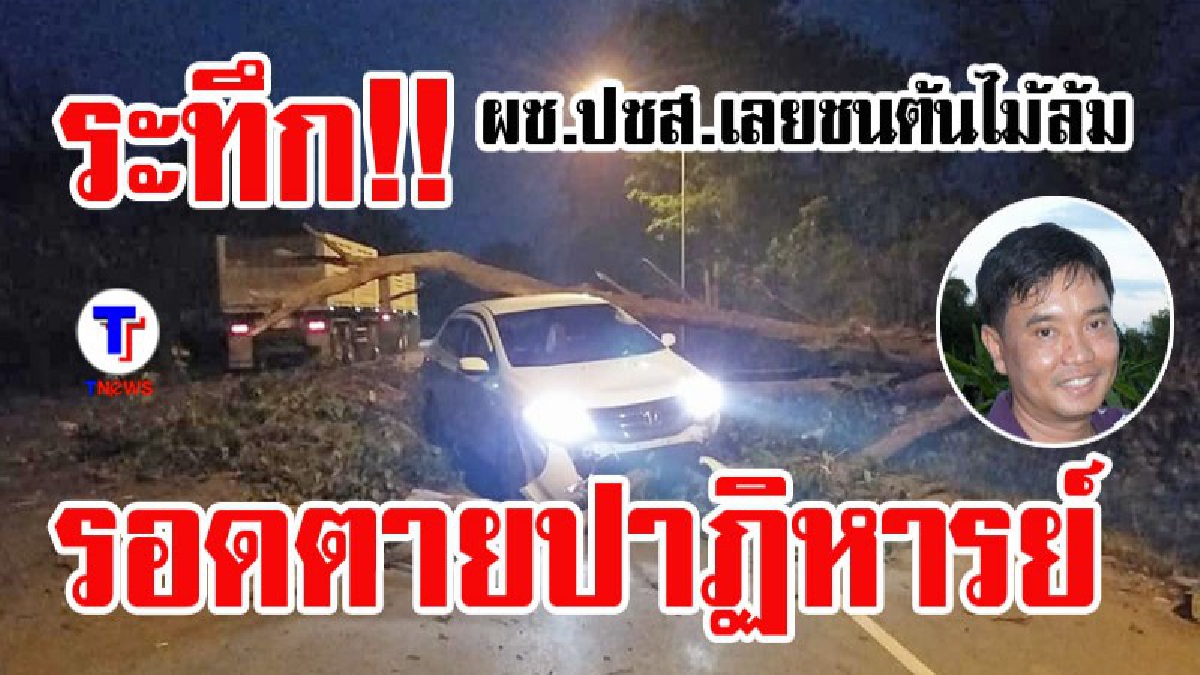 เผาป่าเป็นเหตุ!! ผช.ประชาสัมพันธ์จ.เลย ชนต้นไม้ล้มขวางถนนรอดตายหวุดหวิด (มีคลิป)