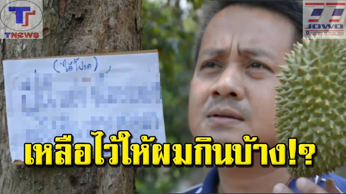 ขึ้นป้ายขนาดนี้..ก็หยุดเถอะ!!? ชาวสวนทุเรียนจะไม่ทน ปิดป้ายประชด! หลังโจรร้ายชิงตัดจากต้น 2 ปีซ้อน งานนี้ ตร.ก็ช่วยไม่ได้!? (คลิป)