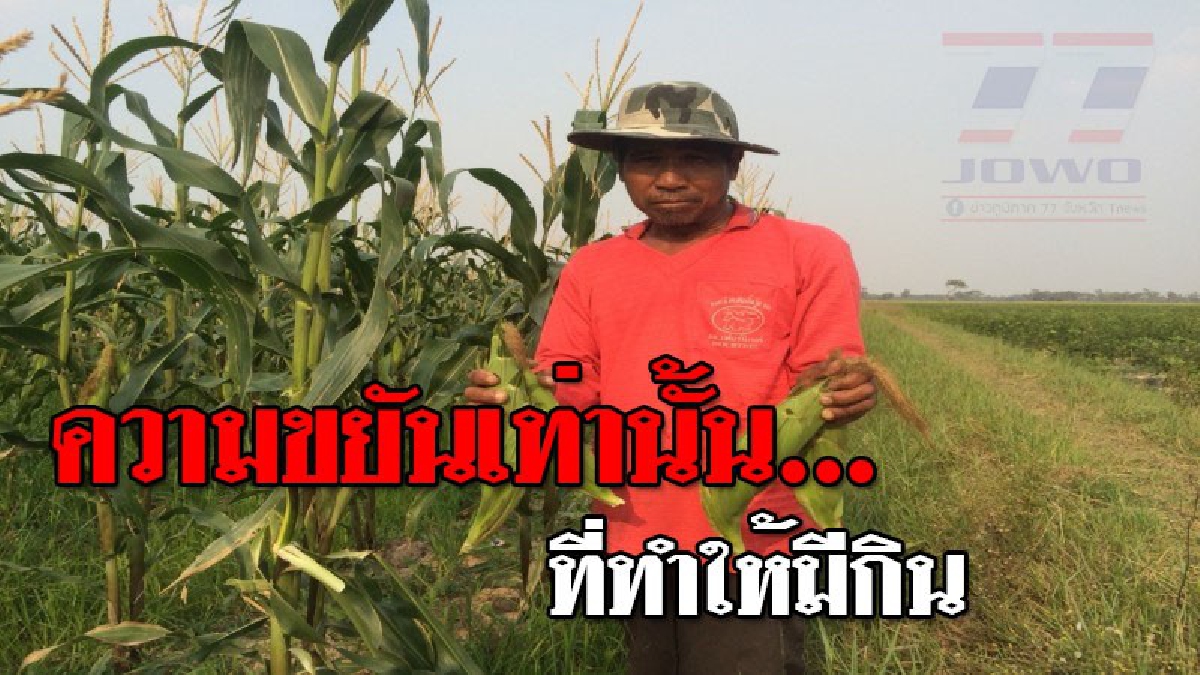โชคชะตาฟ้าลิขิต หรือจะสู้มานะคนขยัน ! อดีตคนงานโรงไม้ เร่ขายแรงงานมาทั้งชีวิต ฮึดสู้ชีวิต พลิกวิกฤต หนีความยากจน หันมาปลูกพืชหมุนเวียน