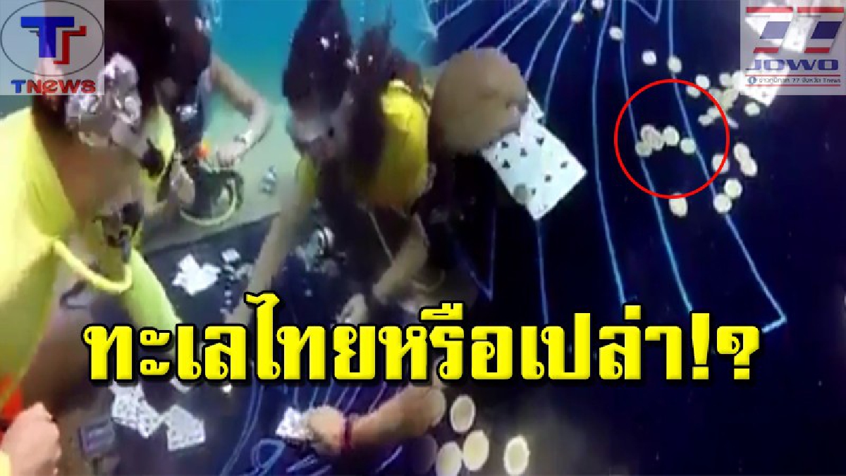 พ่อเมืองกระบี่..ปฏิเสธลั่น! ไม่ขอแสดงความคิดเห็น หลังคลิปร้อนกระฉ่อน "ล้อมวงเล่นการพนันใต้ทะเล" เผยไม่ทราบข้อเท็จจริงแน่ชัด (คลิป)