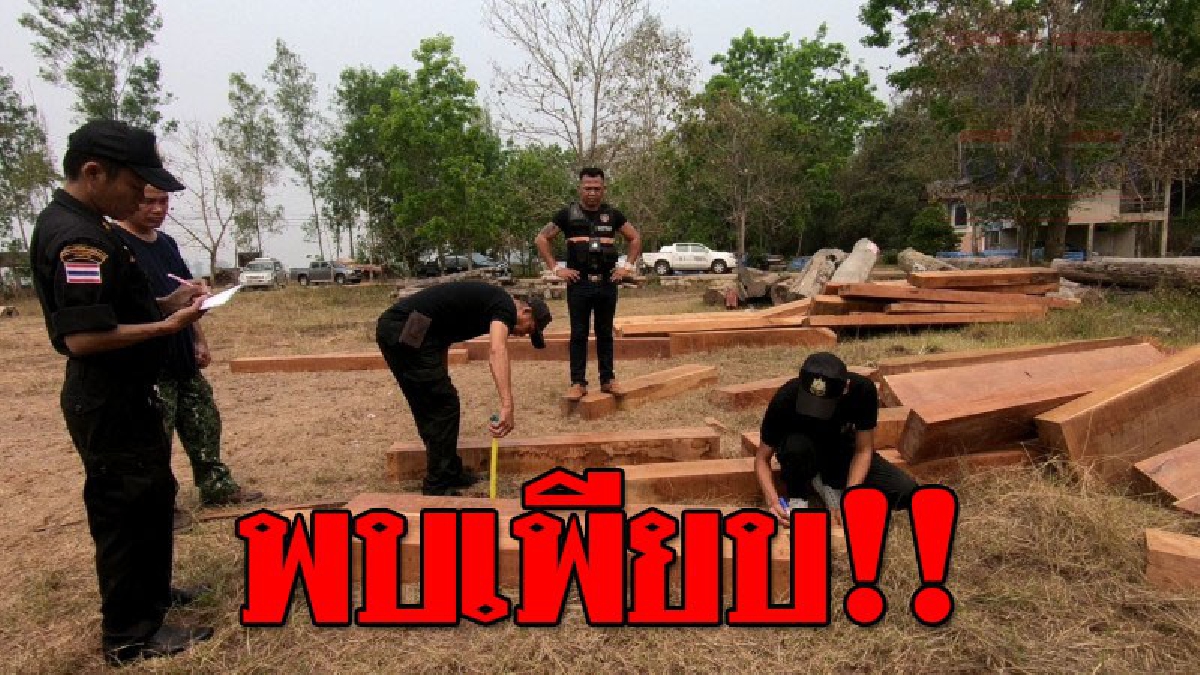 ตะลึงไม้ส่งนอก!! ป่าไม้สนธิร่วมกำลังชายแดนสกัดรถบรรทุก 10 ล้อ ลอบขนไม้ต้องห้ามกว่า 5 ล้านเตรียมส่งนอกประเทศ (ชมคลิป)