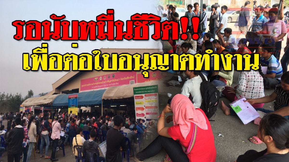 #กว่าจะได้บัตรคงโดนไล่ออก ! แรงงานต่างด้าวแห่ต่อใบอนุญาตทำงานกันแน่น จนต้องนอนรอ กว่าจะเสร็จ 7 ขั้นตอน ใช้เวลานานเกิน 5 วัน..!?