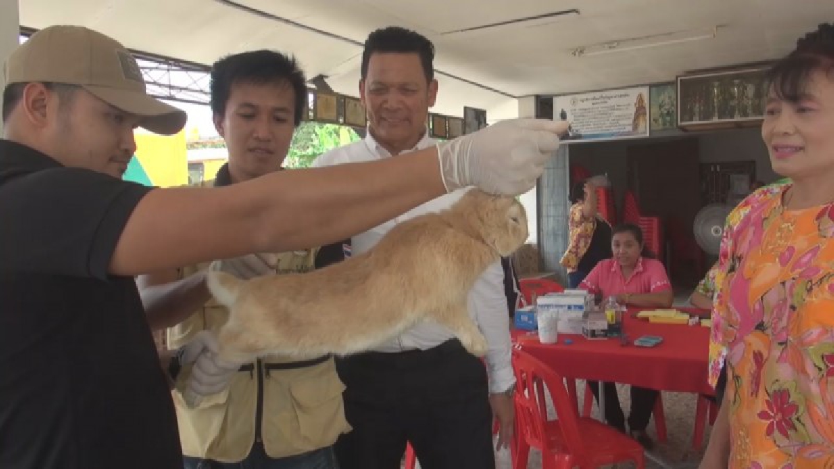 ฉีดแล้ว..เทศบาลเมืองสุโขทัยธานีจัดทีมฉีดวัคซีนป้องกันพิษสุนัขบ้าทั้ง 12 ชุมชน