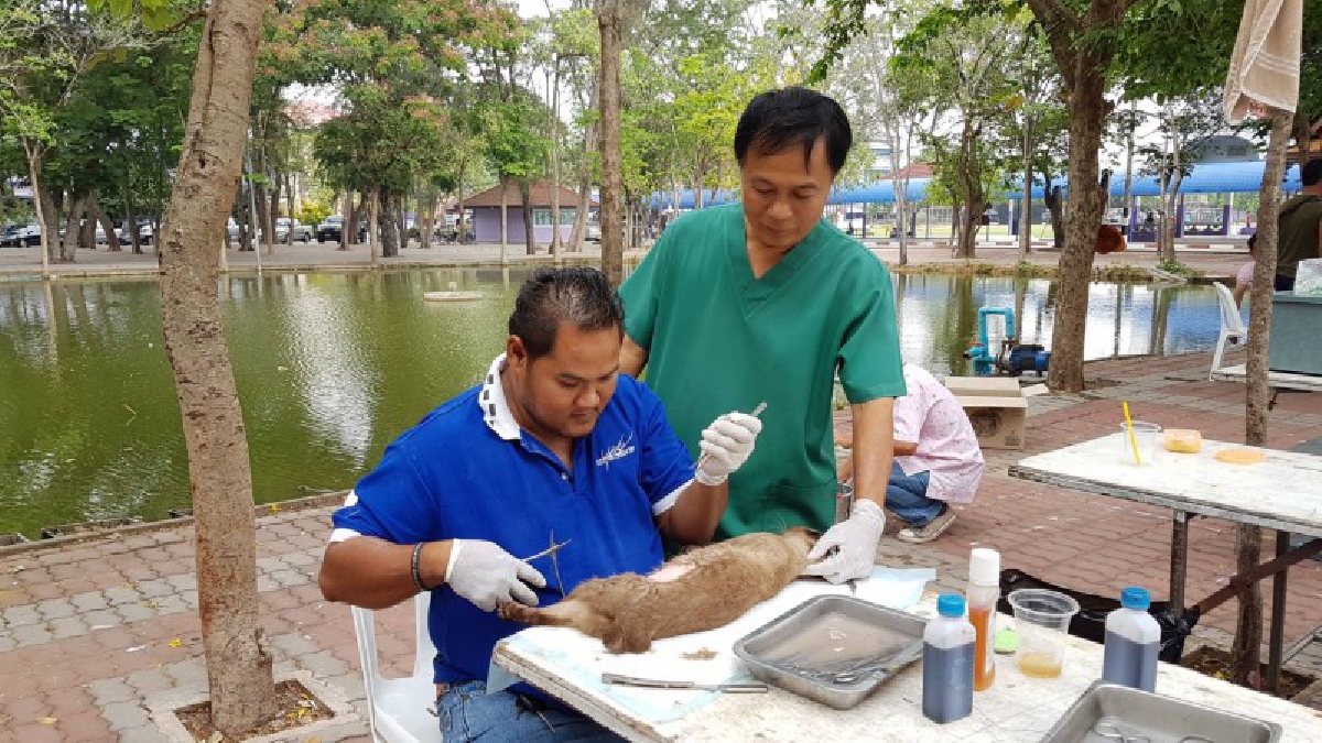 เทศบาลเมืองชัยนาทออกฉีดยาหมาแมวในโรงเรียนป้องกันพิษสุนัขบ้า แนะชาวบ้านนำสัตว์เลี้ยงไปฉีดยากับเจ้าหน้าที่ อย่านำไปฉีดเองเสี่ยงอันตราย