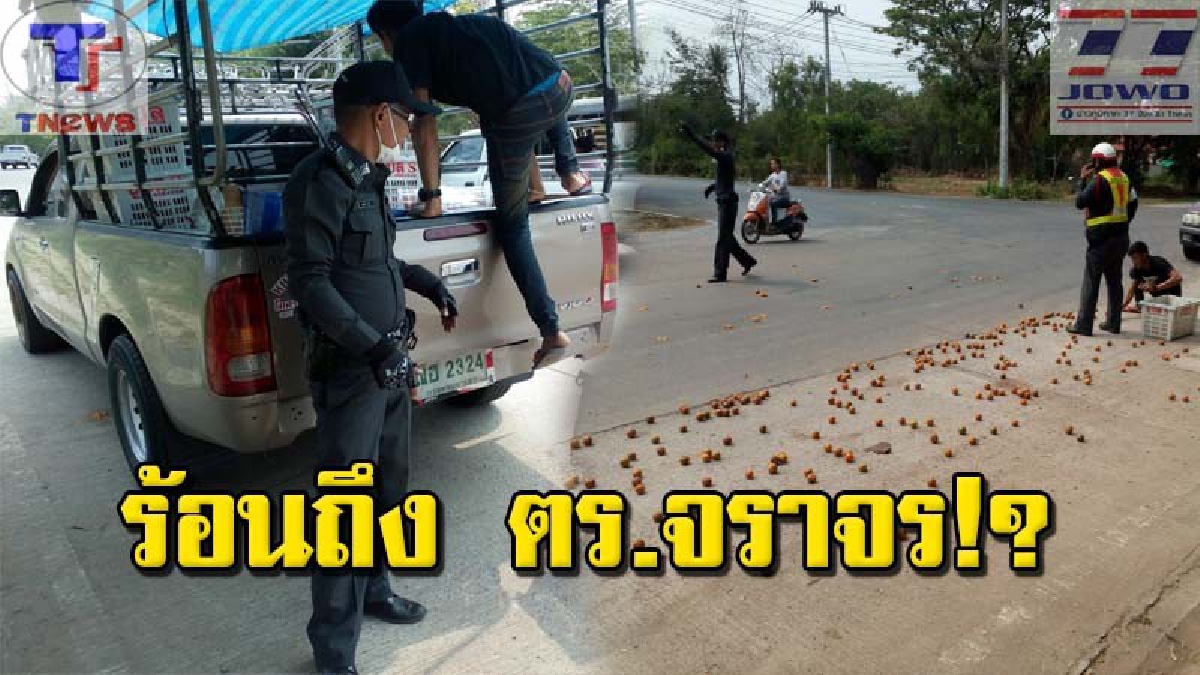สะเพร่าจนได้เรื่อง !! พ่อค้าพ่อลูกอ่อน พลาดครั้งใหญ่ ทำตะกร้าส้มหล่นกระจายกลางถนน รถคันหลังตามเหยียบเละ!!? งานนี้ขาดทุนย่อยยับ (คลิป)