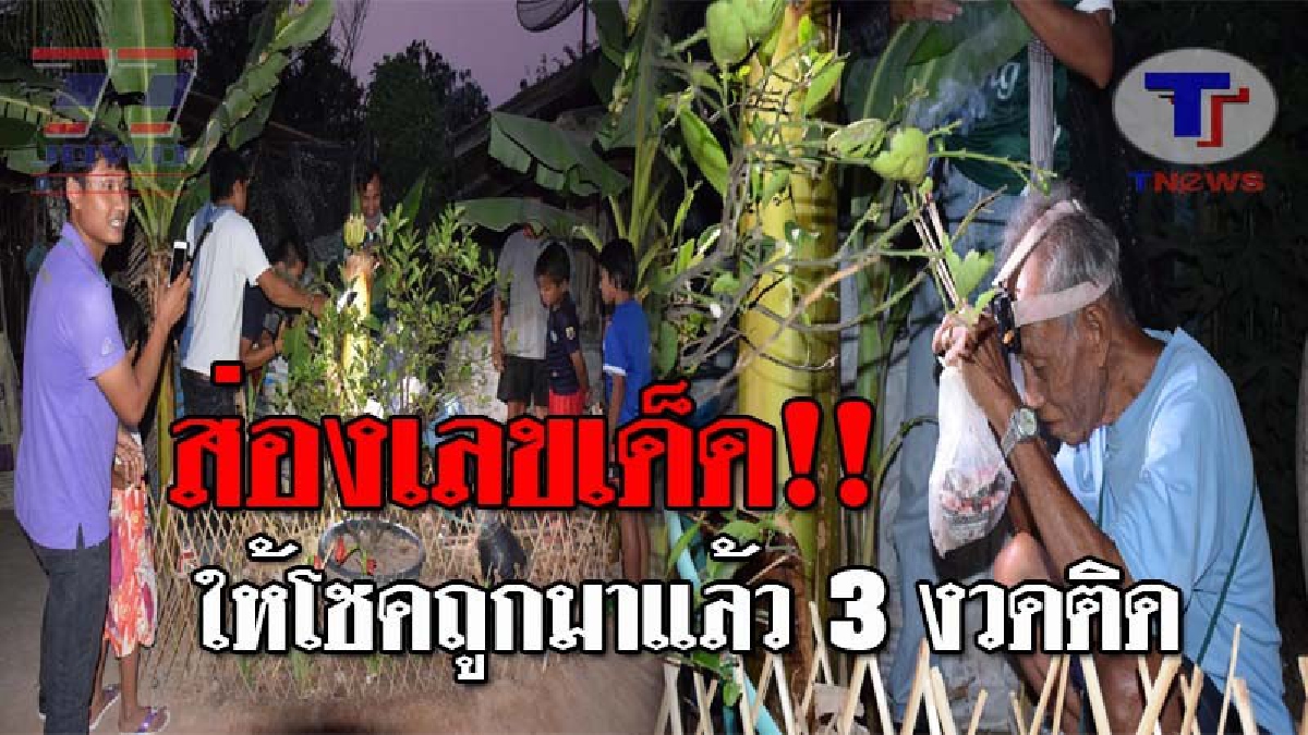 บอกเลยแม่นสุดๆ..!! ชาวบ้านแห่ส่องเลขเด็ด "กล้วยประหลาด คล้ายพญานาค" ทึ่งหนัก ทั้งๆที่ลำต้นถูกตัดจนกุด แถมให้โชคถูกมาแล้ว 3 งวดติด!? (ชมคลิป)