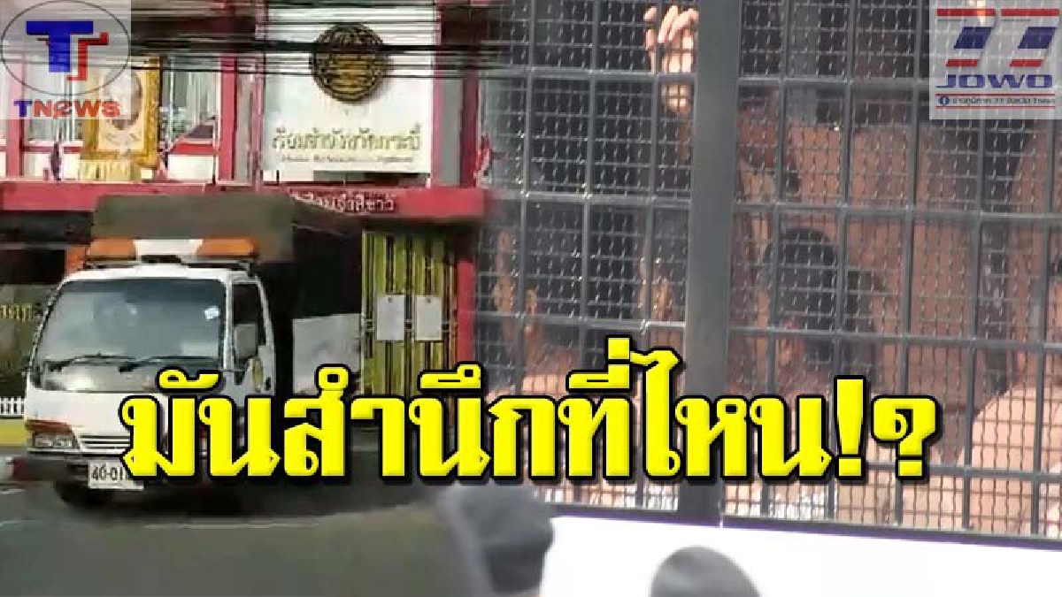 หน้าระรื่นยกแก๊งค์ !! จนท.คุมเข้ม นำทีมฆ่ายกครัว "บังฟัต" รวม 6 คนส่งเรือนจำกลางนครศรี งานนี้ทึ่ง! ยังยิ้มออก..โทษประหารไม่ทำให้สลด (คลิป)