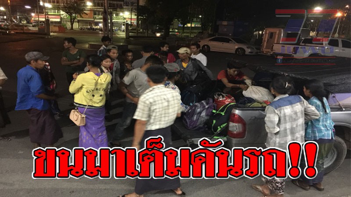 ลูกอีช่างขน..จับยังไงก็ไม่หมด!?? ไม่ถึงเดือนจับแรงงานต่างด้าวได้เกือบร้อยคน เจ้าหน้าที่เร่งล้างบางให้หมดสิ้น..!! (ชมคลิป)