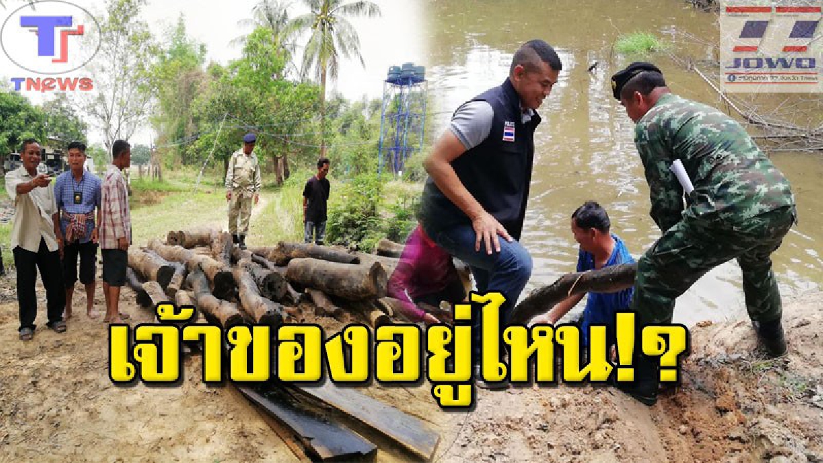 #ของใคร..แสดงตัวด่วน !!! จนท.ระดังกำลังตรวจยึด "ไม้พะยูง" ซุกซ่อนในสระน้ำกว่า 30 ท่อน พร้อมแปรรูปแล้ว 11 แผ่น (คลิป)