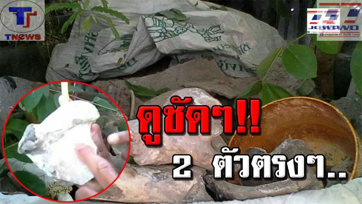 แตกฮืออีกครั้ง !! ชาวบ้านแห่ทำพิธีขอหวยจากหัวกะโหลกโบราณ หลังงวดที่แล้วแม่นจัด..ถูกจังๆ ยกหมู่บ้าน ลุ้น! งวดนี้ได้มาอีก 2 ตัวตรง (คลิป)