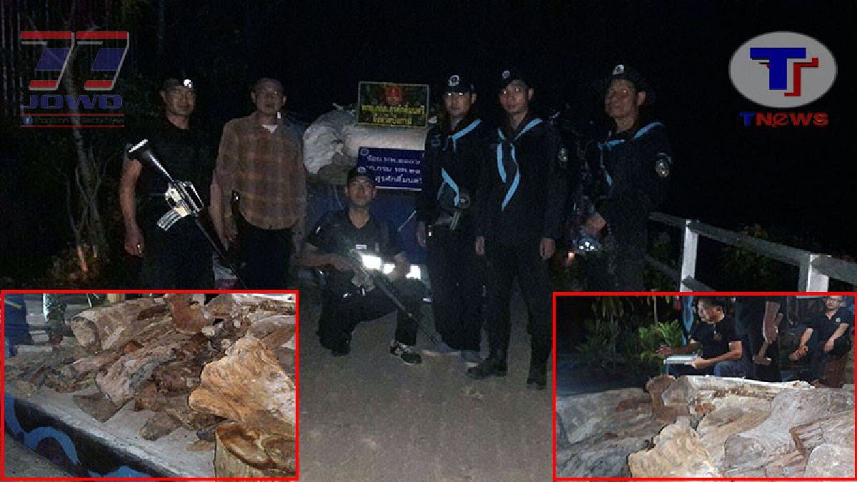 บึงกาฬ ยังมีไม้พะยูงเหลือให้ขาย..!! ทหารพรานร่วมกันหลายฝ่าย เข้าตรวจยึดไม้พะยูง ริมน้ำโขง เตรียมส่งขายต่างประเทศ!? (ชมคลิป)