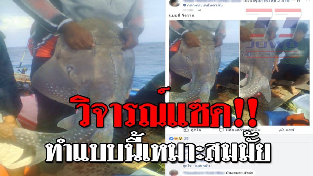 แบบนี้มันสมควรมั้ย!? นักอนุรักษ์จวกนักตกปลา หลังมีการโพสต์รูป "สัตว์ทะเลหายาก" ลงโซเชียล และสุดท้ายก็ไร้คำตอบว่าปลาตัวนั้นรอดหรือไม่..!!