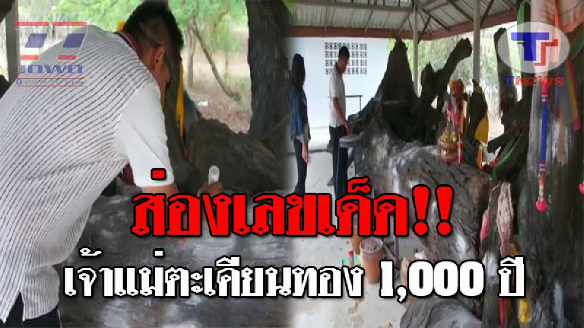 แผงหวยแทบแตก..!! ชาวบ้านแตกฮือ หลัง "ต้นตะเคียนยักษ์" ให้โชคแม่นสุดๆ ถูกกันมาแล้วหลายงวด รอบนี้เลขเด็ดโผล่ชัด รีบซื้อกันด่วนๆ!? (ชมคลิป)