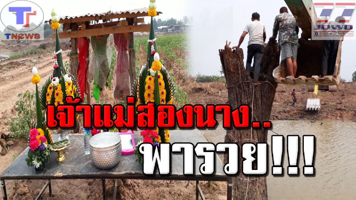 อิทธิฤทธิ์ "เจ้าแม่สองนาง" ต้นตะเคียนอายุ กว่า 200 ปีเข้าฝันชาวบ้าน ทำเอาขนหัวลุก! งานนี้แห่ขอโชคลาภกันนับพันคน (คลิป)