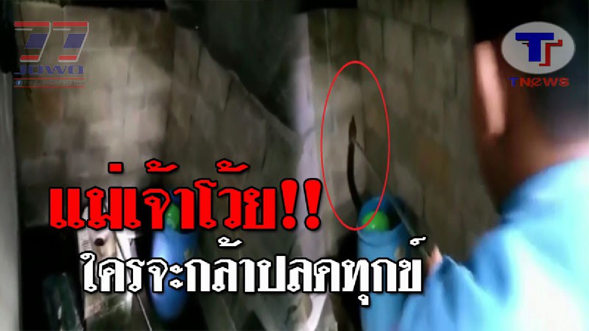 เล่นซะขี้หดตดหาย..!! เจ้าของบ้าน สุดผวา เจอจังๆ งูบองหลายาว 4 เมตร เลื้อยบุกห้องน้ำ เชื่อเป็นงูเจ้าที่ แห่ลูบตัวเพื่อขอโชคลาภ!? (ชมคลิป)