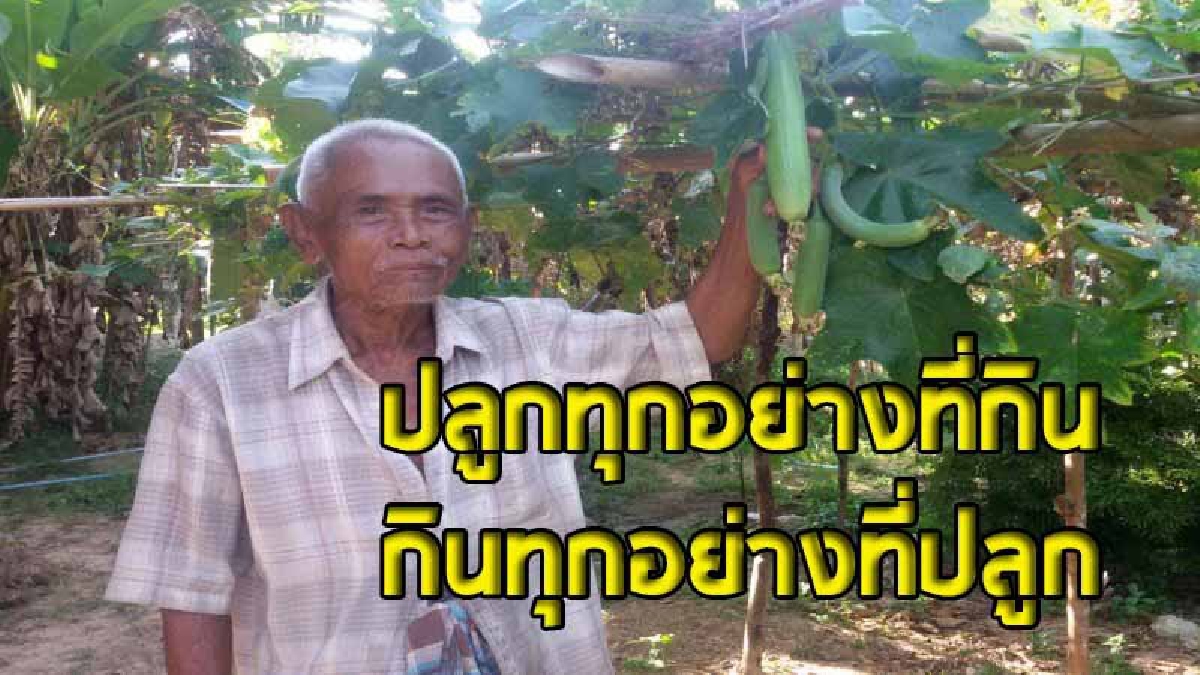 สุดทึ่ง!! คุณตาวัย 83 ปลูกพืชผักปลอดสารเคมี เผยเคล็ดลับ “ปลูกทุกอย่างที่กิน กินทุกอย่างที่ปลูก” ทำให้สุขภาพแข็งแรง ไม่เคยเจ็บป่วย (ชมคลิป)