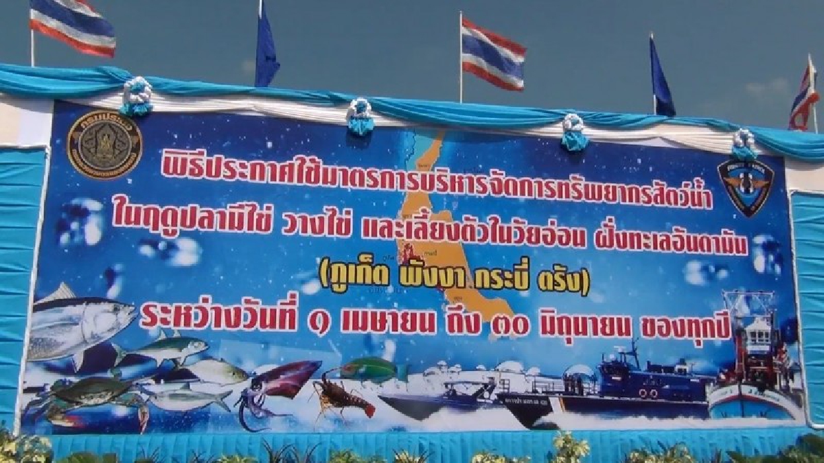 กรมประมงประกาศปิดอ่าวทะเลฝั่งอันดามัน 3 เดือน คุมพื้นที่ 2.3 ล้านไร่ห้ามทำประมง (ชมคลิป)