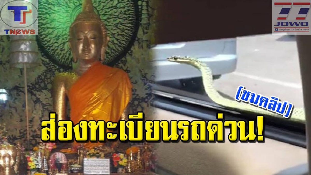 #หรือมันมาให้โชค กรี๊ดสนั่นลั่นรถ !! นักท่องเที่ยวเข้าทำบุญบนวิหาร "หลวงพ่อดำ" จู่ๆ งูตกใส่รถ งานนี้! จ้องทะเบียนรัวรัว (มีคลิป)
