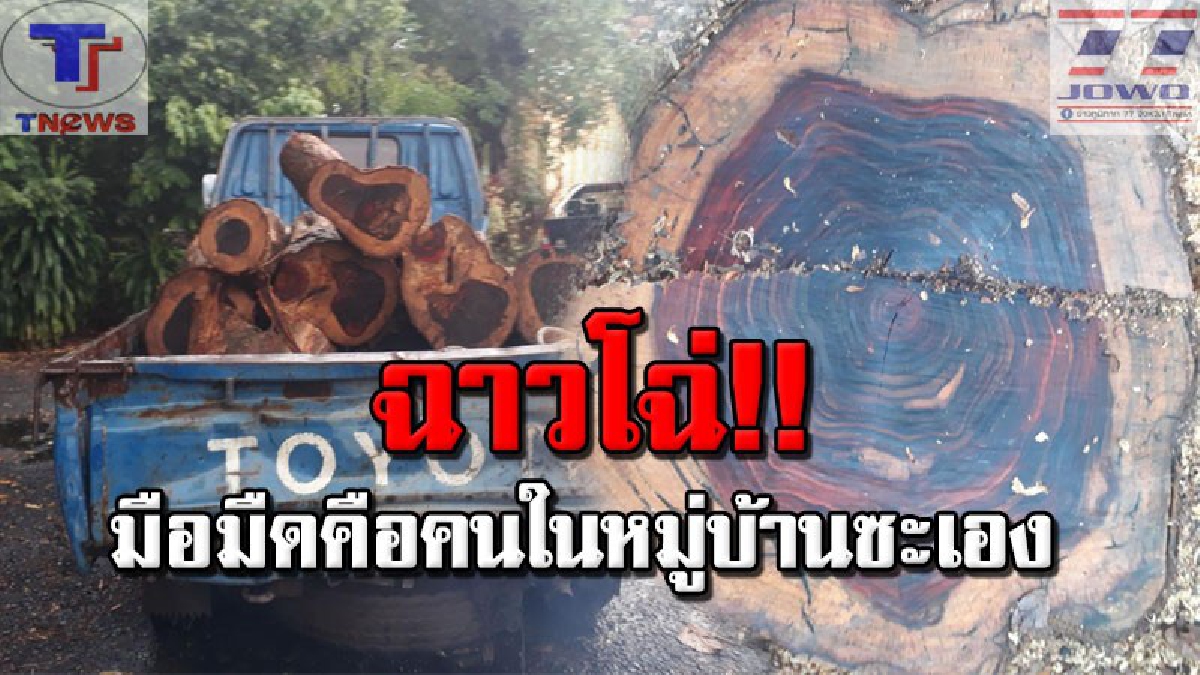 ฉาวไปทั้งหมู่บ้าน..ในวัดก็ไม่เว้น!!! คนร้ายบุกตัดไม้พะยูงกลางวัด เตรียมส่งต่อพ่อค้าคนกลาง รู้แล้วอึ้ง! สืบทราบเป็นคนในหมู่บ้านซะเอง (คลิป)