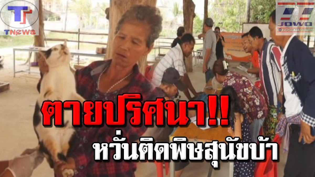 ขวัญผวาทั้งหมูบ้าน !! ปศ.อุดรฯ ระดมกำลังเข้าฉีดวัคซีนพิษสุนัขบ้า หลังพบแมว 2 ตัวตายปริศนา เร่งนำซากแมวส่งตรวจพิสูจน์