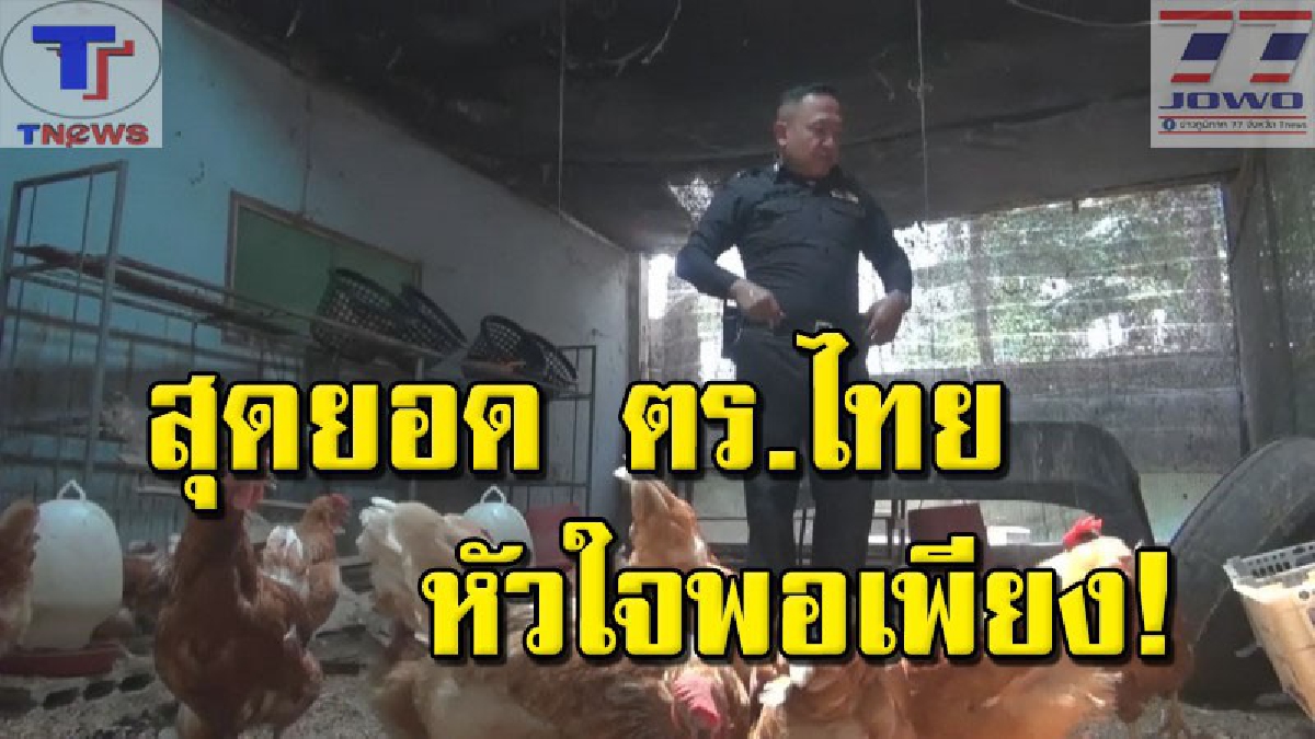 ไม่เห็นต้องรับส่วย !! สุดชื่นชม ดาบตร.ไทยหัวใจพอเพียง เลี้ยงไก่ไข่เป็นอาชีพเสริม หารายได้ช่วยเหลือครอบครัว