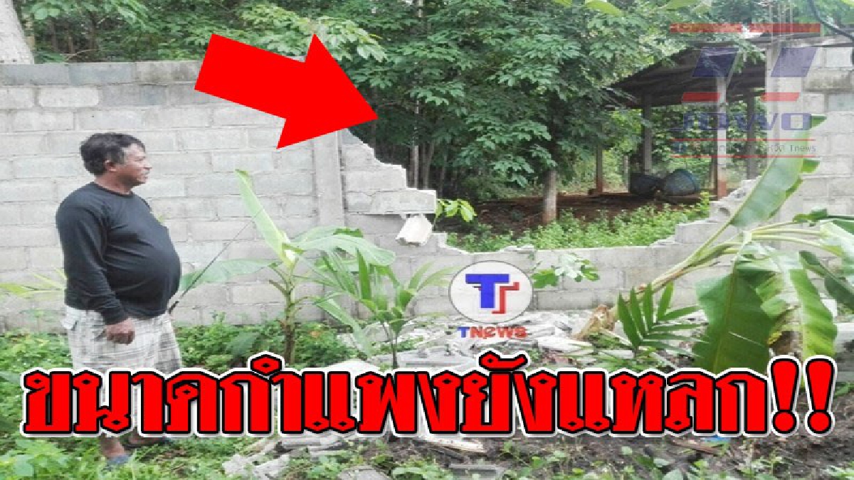 โคตรระทึก..ช้างดุ ! ช้างป่าหิวโซ ถีบกำแพง 2 เมตรพัง ก่อนวิ่งเข้าไปกินพืชผลไม้ที่ปลูกไว้ในบ้าน ทำเจ้าของบ้านผวาไม่กล้าออกมาดู..!? (คลิป)