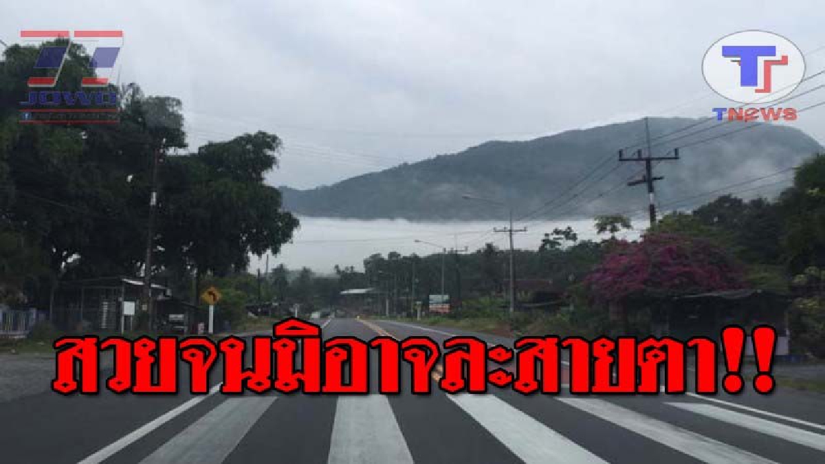 สุดทึ่ง..อย่างกับไปสวรรค์..!! เผยคลิปหลังฝนตก สุดยอดเส้นทางสวรรค์เนรมิต “ลานสกา” อากาศดีที่สุดเมืองไทย สดชื่นขับรถตะลุยกลางทะเลหมอก!?