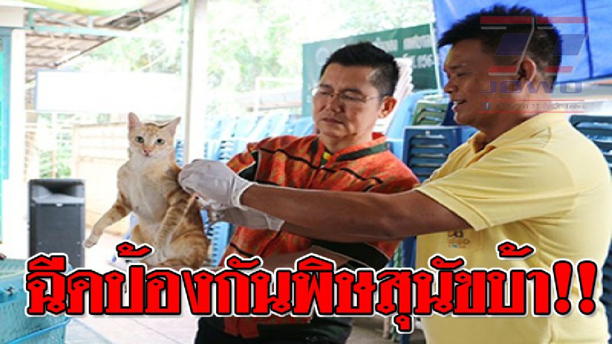 เรื่องจริงโรคพิษสุนัขบ้าระบาด!! วัคซีนขาดตลาด แถมขึ้นราคา ชาวบ้านตื่นตัวพาหมา-แมวขอรับการฉีดวัคซีนป้องกัน..!?