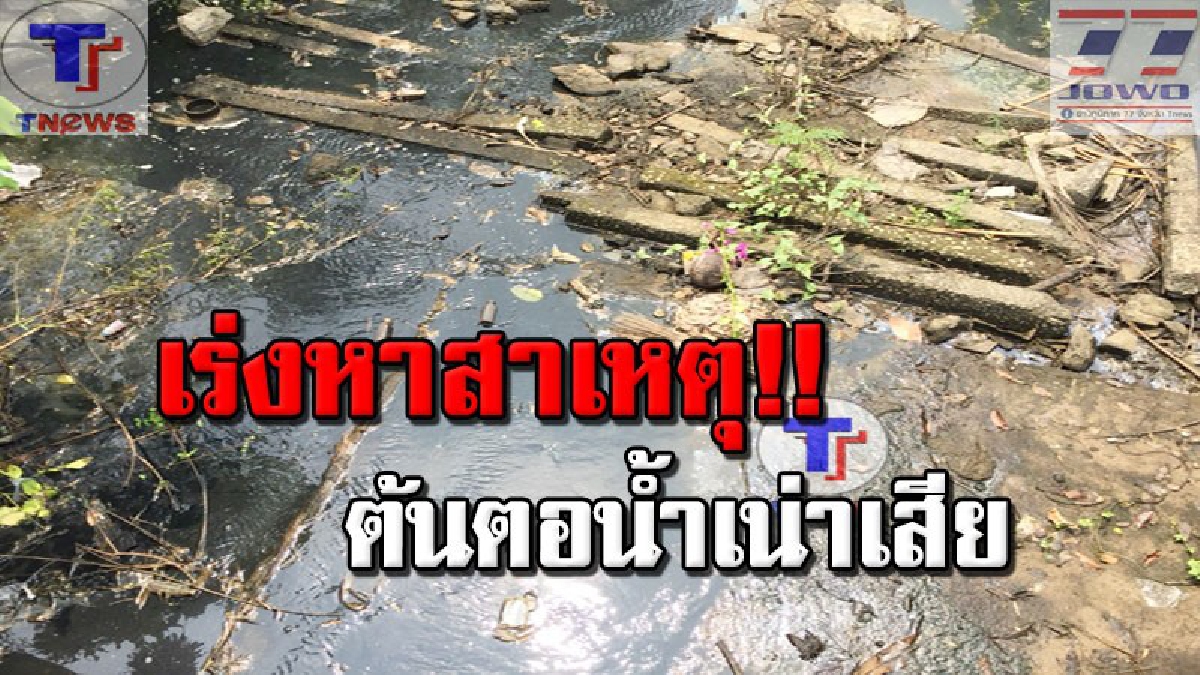 เดือดร้อนหนักมาก !! น้ำคลองชากกอไผ่เน่าเสีย จนปลาตาย จนท.เผย..เข้าตรวจสอบแล้ว..แต่ยังหาต้นตอไม่ได้ (คลิป)