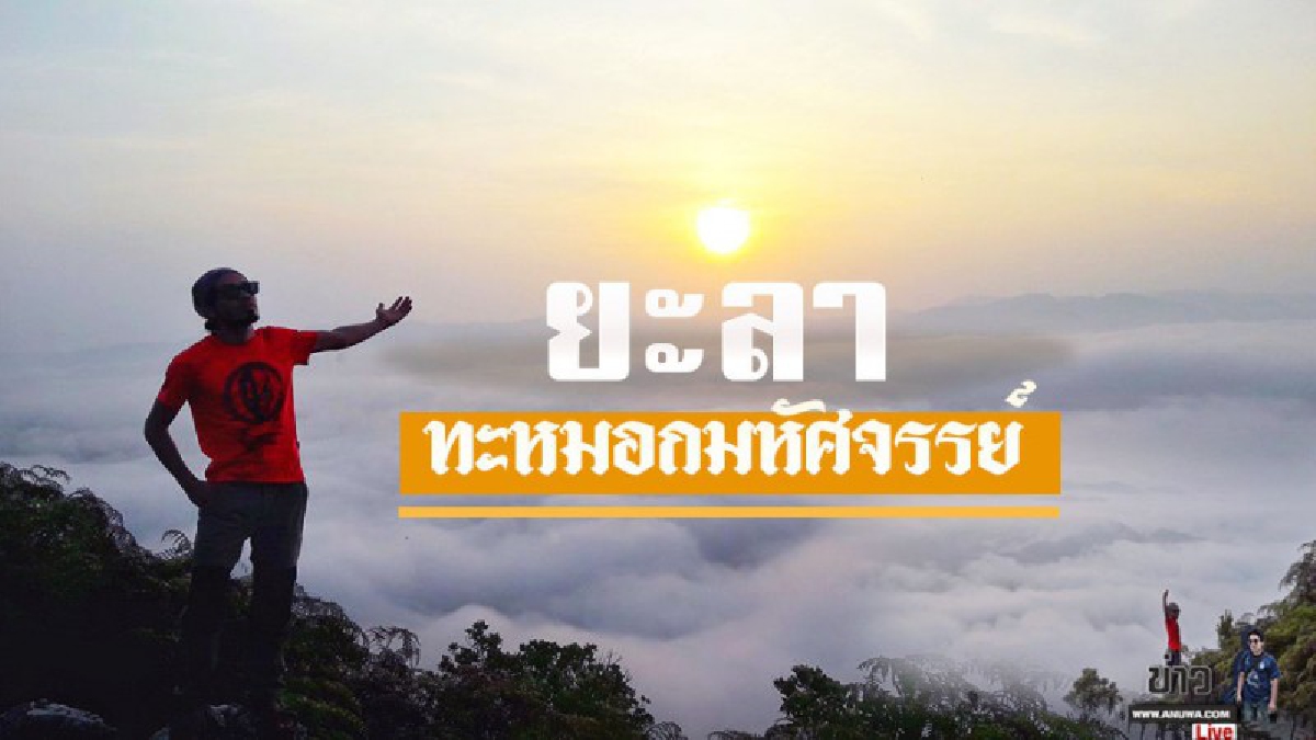 นักท่องเที่ยวต่างประเทศแห่ชม สิ่งมหัศจรรย์ ทะเลหมอกแดนใต้ มีให้ชมได้ 360 องศา มีทุกฤดู เพราะอะไรต้องสัมผัส (ชมคลิป)