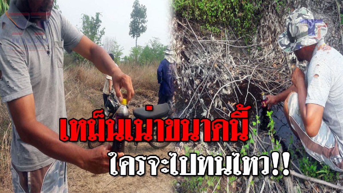 เดือดร้อนทั้งบาง..!! ชาวบ้านจ่อแจ้งความ หลังโรงงานขนาดใหญ่ ขนน้ำเสียทิ้งในที่ดินใกล้ชุมชน ส่งกลิ่นเหม็นเน่า ลั่นถ้ายังไม่เลิก เดี๋ยวรู้กัน!?