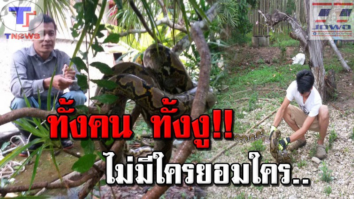 ศึกเดือด..คนปะทะงู !!! ระทึกทั้งบ้าน งูเหลือมยักษ์หิวโซ บุกกินไก่คาเล้า งานนี้เจ้าของฉุนจัด..ทำใจกล้า บุกเข้าฟัดเหวีี่ยงชุลมุน (คลิป)