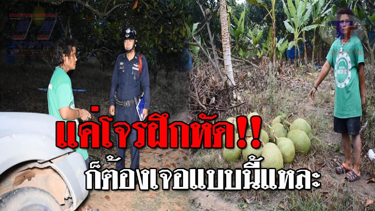 หนีความชั่วไม่พ้น..!! สาวใหญ่วัย44 ขับกระบะย่องตัดลูกขนุน ในสวนของชาวบ้าน รถเสียหลักตกข้างทาง สุดท้ายไปไม่รอด โดนรวบคาของกลาง (ชมคลิป)