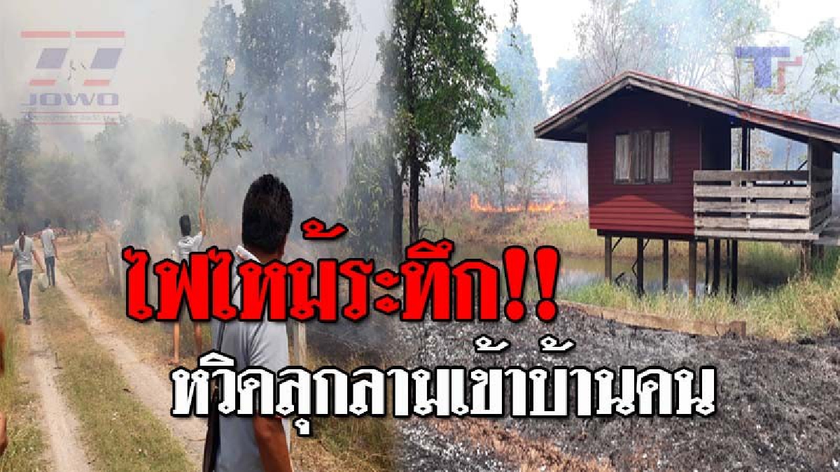 อลหม่านกันทั้งบาง..!! ไฟไหม้ป่า ลามเข้าใกล้บ้านคน หวิดวอดกว่า 10 หลัง ชาวบ้านรวมพลัง ช่วยกันดับ ทำเอาวิ่งแตกตื่นกันสุดระทึก!? (ชมคลิป)