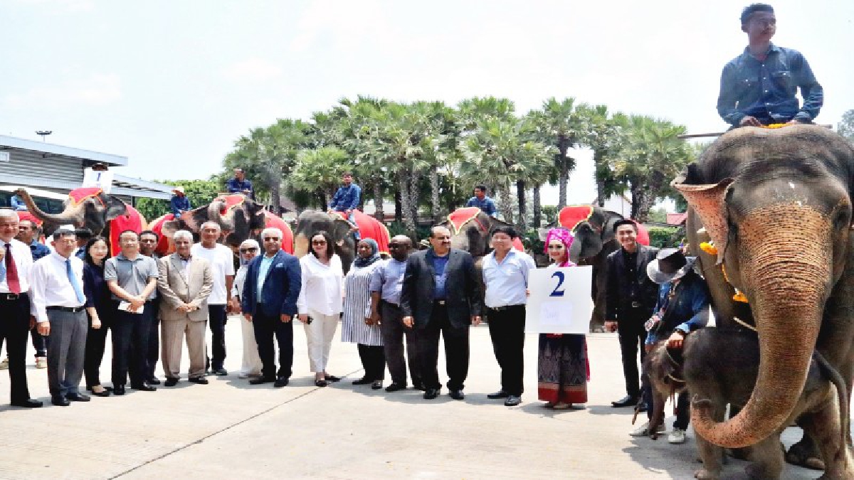 เอกอัครราชทูตจาก8ประเทศร่วมรับลูกช้างเกิดใหม่ 2 เชือกสวนนงนุชพัทยา (มีคลิป)