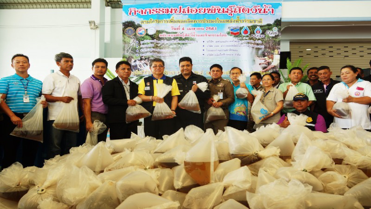 คืนสู่ธรรมชาติ!!! เชฟรอน จับมือสมาคมประมงอำเภอขนอมและภาคีเครือข่าย ร่วมปล่อยพันธุ์สัตว์น้ำสู่ทะเลอ่าวไทย4 ล้านตัว