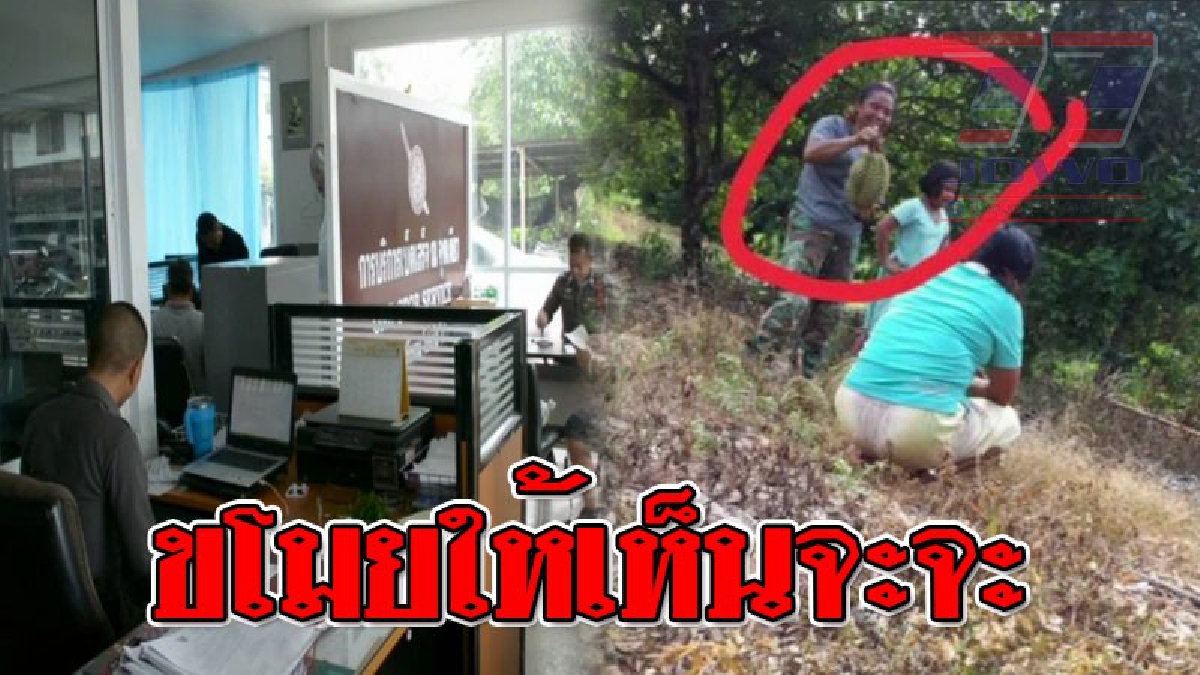 ตร.ออกหมายเรียก เจ้าของรถกระบะ! ที่ใช้ก่อเหตุ เชิดทุเรียนชาวสวน ระยอง ถ้าพบมีสวนรวม โทษหนัก ! 1 ถึง 10 ปี ปรับ 2พันถึง 2 หมื่นบาท!