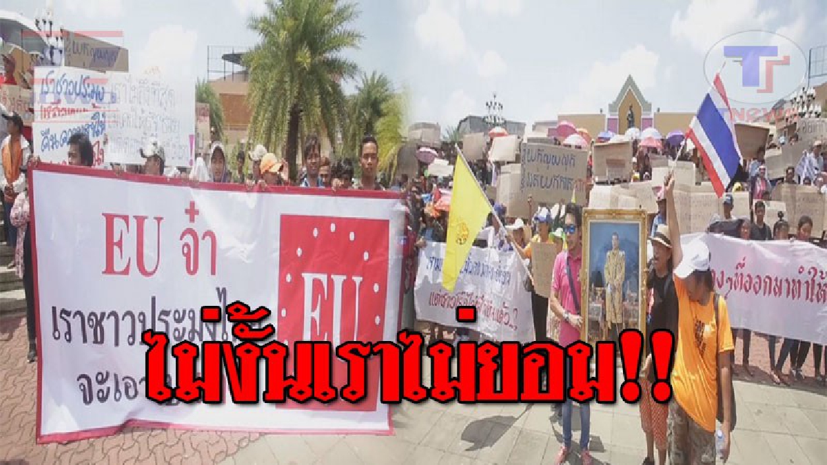 ประมงเดือด !! ลุกฮือกันทั้งบาง รวมตัวประท้วง ขอประกาศหยุดเรือ วันที่ 9 นี้ หากไม่เร่งแก้ปัญหาความเดือดร้อน!? (ชมคลิป)