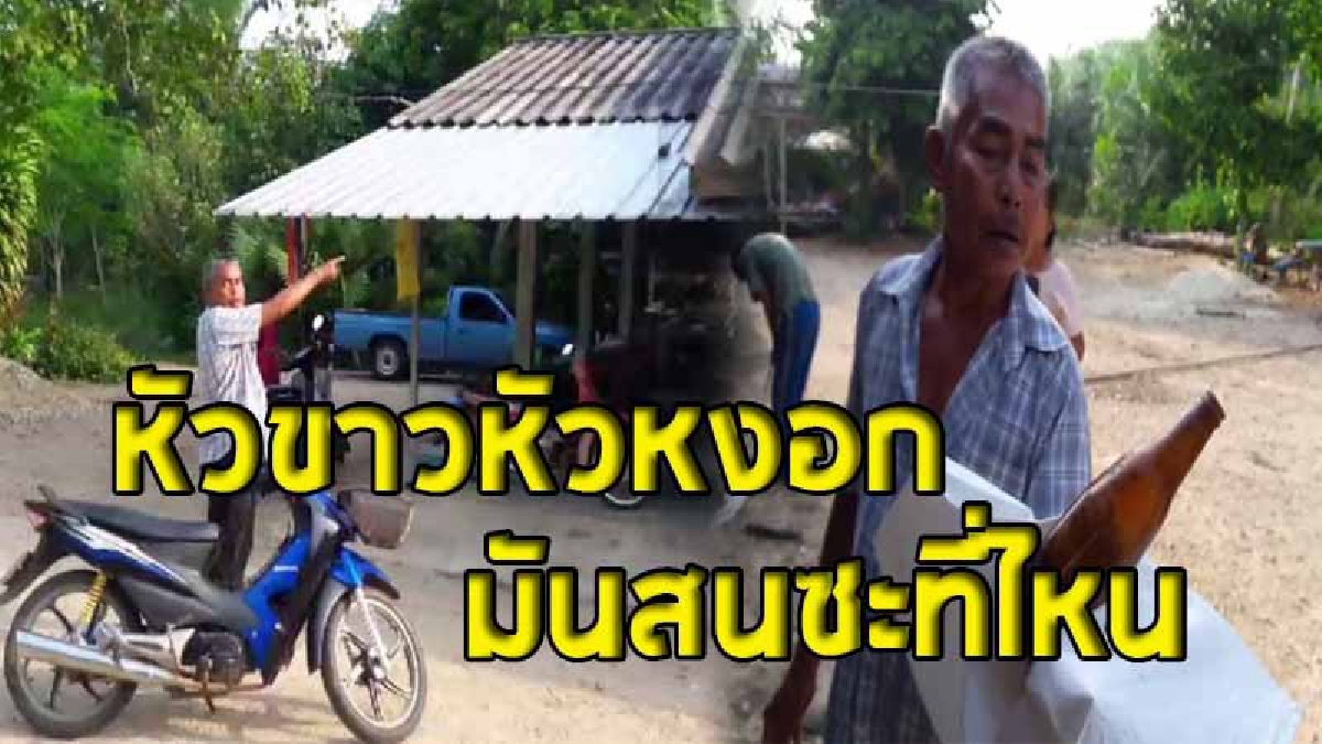 ผู้ช่วยผู้ใหญ่บ้านไปห้ามโจ๋ยกพวกตีกัน ตกดึก..โดนดี มันกลับมาระบายแค้น ปาขวดเหล้าขวดเบียร์ถล่มหลังคาบ้านพังยับ (มีคลิป)