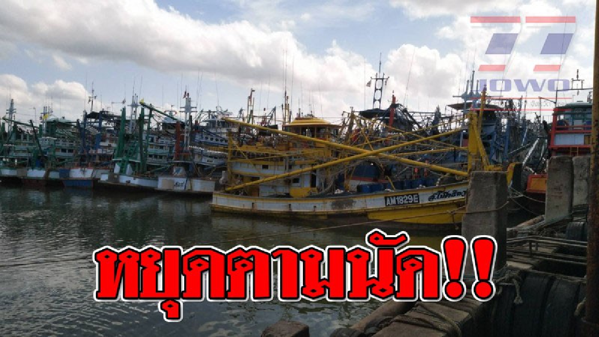 หยุดตามนัด!?? เรือประมงอวนล้อมอวนครอบปลากระตักกว่า 300 ลำ นำเรือเข้าจอดตามมติชมรมเรืออวนล้อมที่นัดหยุดเรือพร้อมกันทั่วประเทศวันนี้