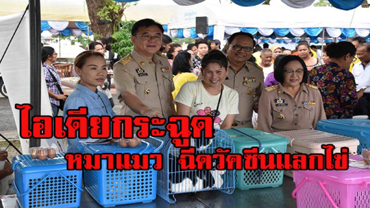 ไอเดียสุดบรรเจิด !! เทศบาลฯเมืองคอน รณรงค์ ปชช.นำสุนัข - แมว ฉีดวัคซีนป้องกันโรคพิษสุนัขบ้า พร้อมรับไข่ไก่