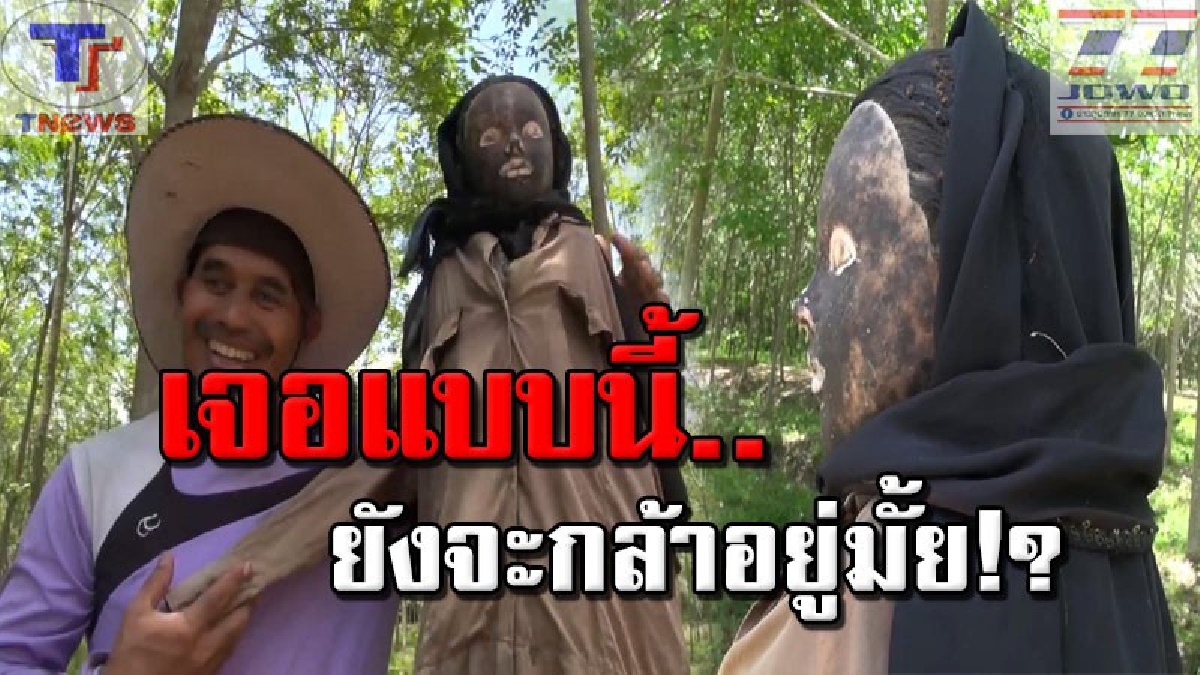 เอาให้หัวโกร๋น !!! เจ้าของสวนมะพร้าว สร้าง "หุ่นผีกันโจร" แก้เผ็ดโจรแสบบุกขโมยมะพร้าวไม่เว้นวัน งานนี้! แค่ 1 อาทิตย์ได้ผลชะงัด (คลิป)