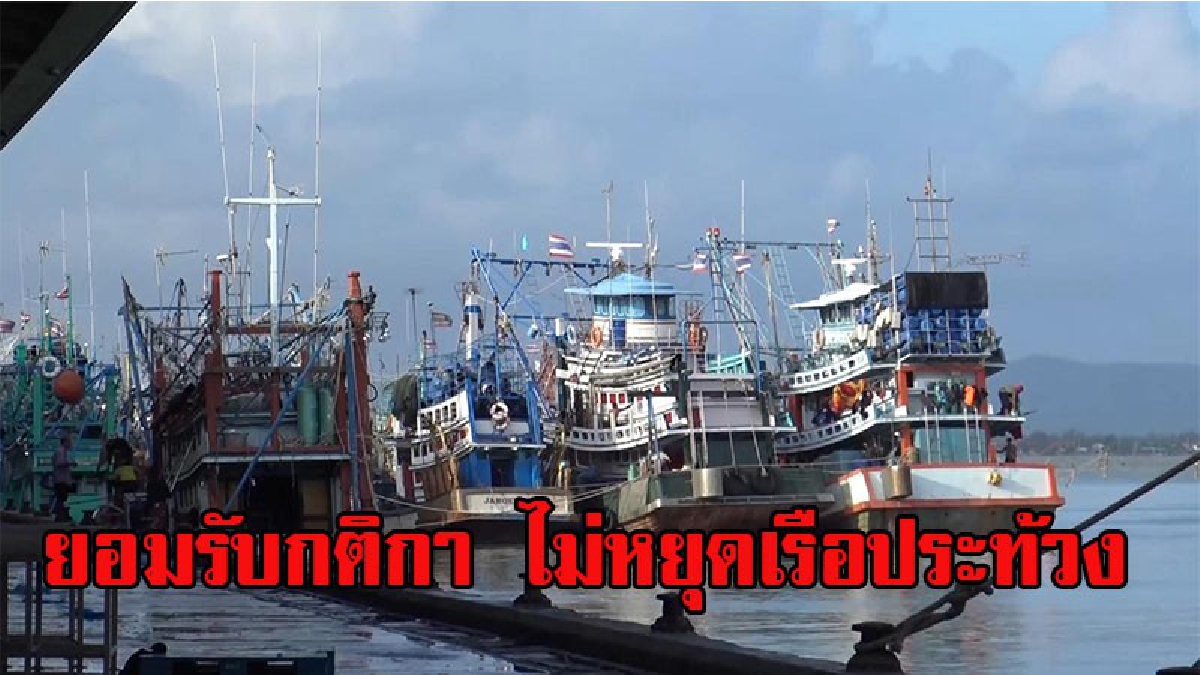 ยอมรับกติกา !! เรือประมงสงขลายังทำการประมงปกติไม่มีการหยุดเรือประท้วง