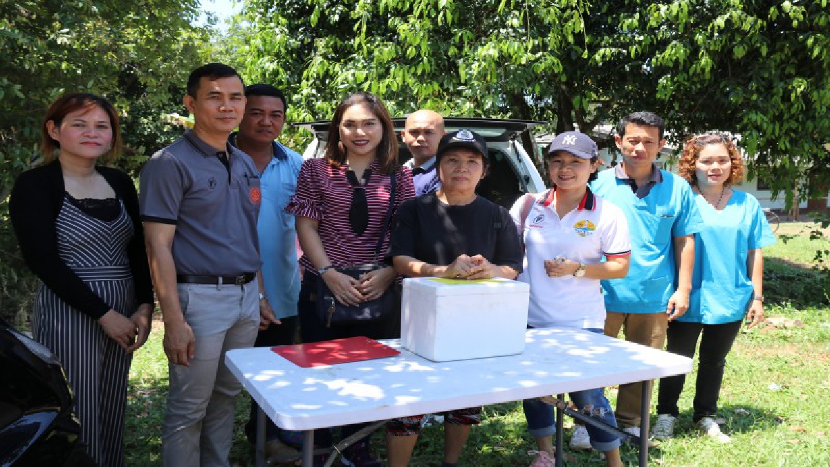 มันเริ่มระบาด..เตือนระวัง ! สุนัขป่วยตาย โรคหัดลำไส้ระบาดในสุนัขจรจัด(คลิป)