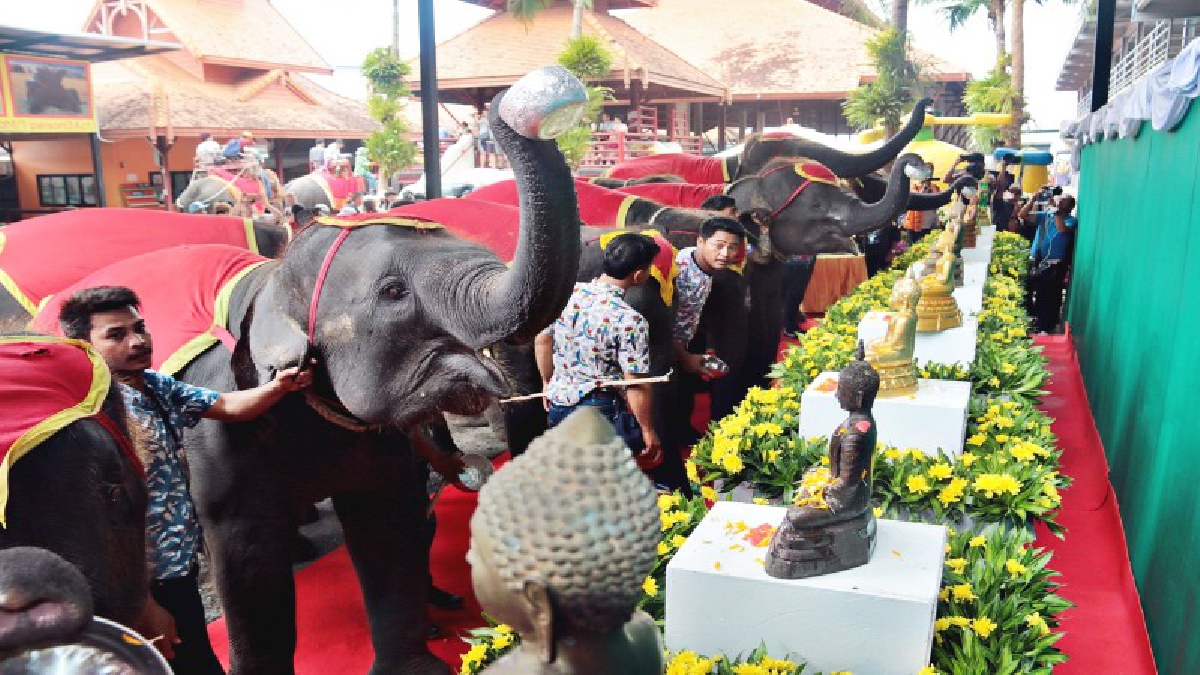 ตื่นตาตื่นใจ !! สวนนงนุชพัทยา นำช้างแสนรู้ 9 เชือกเปิดงานสงกรานต์ดอกไม้บาน 61 นักท่องเที่ยวไทย-เทศร่วมเล่นน้ำอย่างคึกคัก (คลิป)