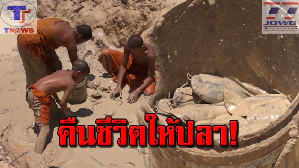คืนชีวิตให้ปลา !! สามเณรออกปฏิบัติธรรม พบน้ำแห้งปลาหนีตาย ช่วยกันจับปลาปล่อยในแหล่งน้ำ (คลิป)