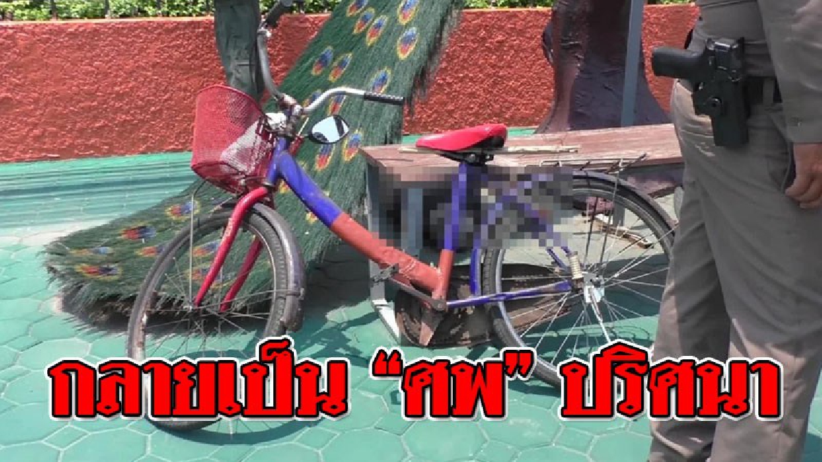 ชายชราปริศนา ปั่นจักรยานมาหยุดพักที่ริมถนนใต้หุ่นฟางนก ก่อนที่จะมีคนมาพบกลายเป็น "ศพ"..!?