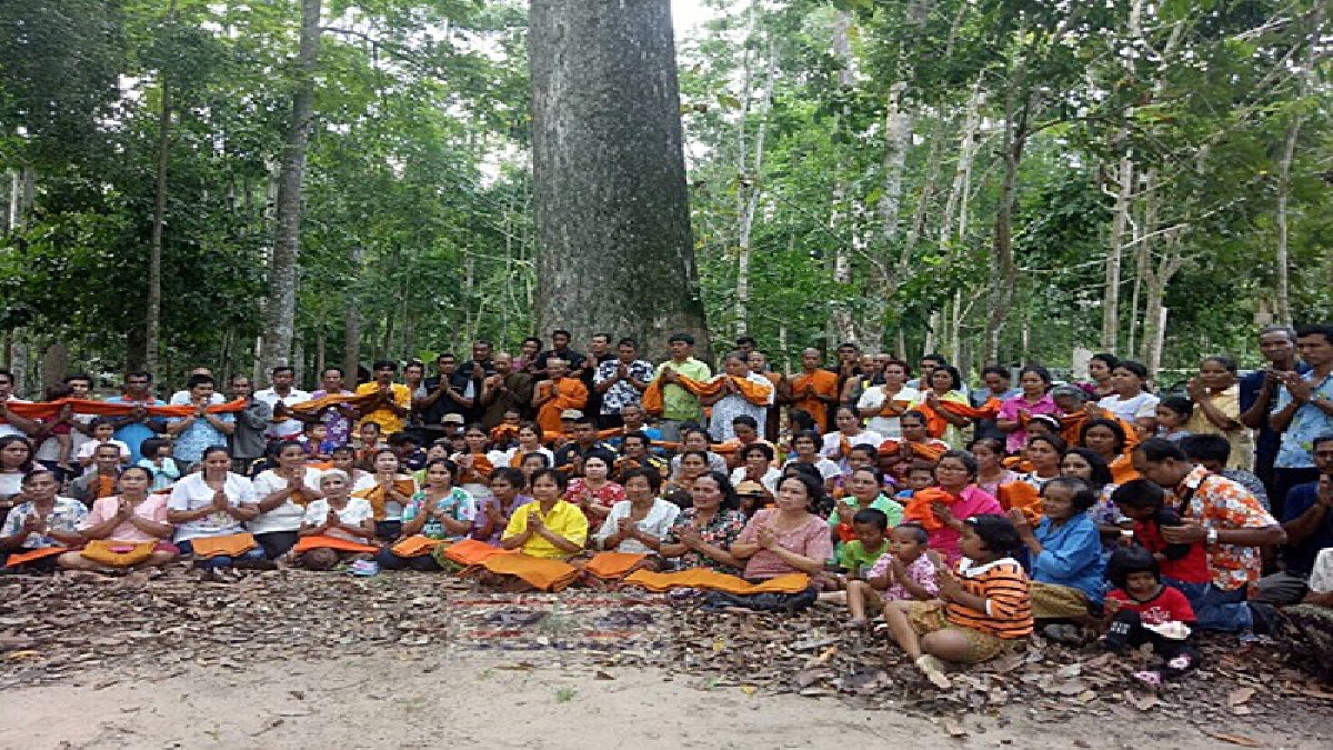 สงกรานต์!!! ชาวบ้านร่วมใจบวชต้นยางกล่องไม้ยักษ์อายุหลายร้อยปีกว่า300ต้นเพื่อใช้ชีวิตเดินตามพ่อ ร 9 (มีคลิป)