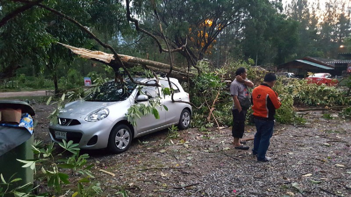 พายุลมกระโชกแรง บริเวณบ่อน้ำพุร้อนชื่อดังเพชรบุรี  ต้นไม้ใหญ่หักโค่นทับร้านค้า รถยนต์ของนักท่องเที่ยวพังเสียหายกว่า10 คัน (มีคลิป)